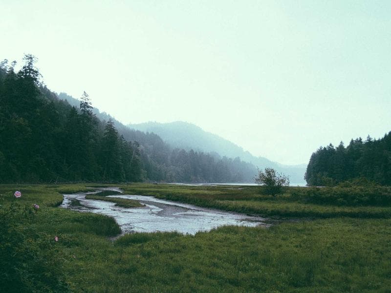 Blogs Image