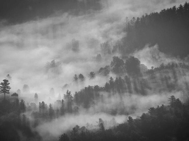Blogs Image